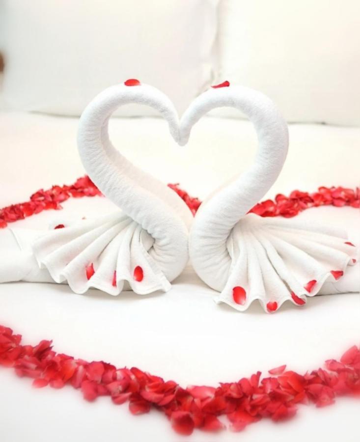 Bed and Breakfast Jacuzzi Massage Sur Rdv,Duo,Reiki,Californien, Reflexologie Plantaire, Et Bouteille Mousseux Offerte Ferolles Экстерьер фото